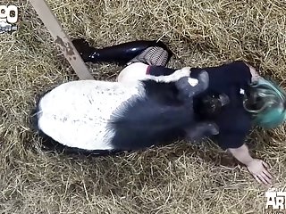 Xxx Br Porn