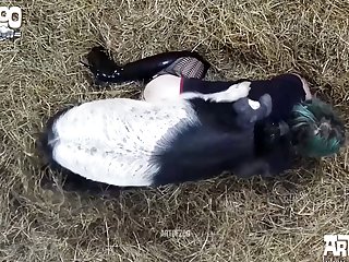 Xxx Br Porn