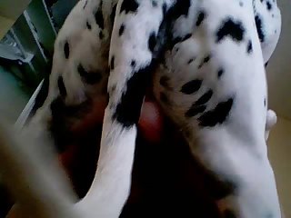 Kendra James Mom Xxx Porn