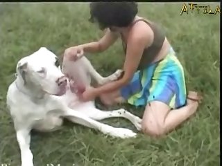 Ashley The Terrible Hinca P Xxx Porn