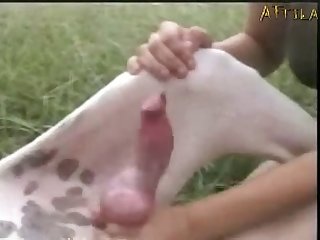 Ashley The Terrible Hinca P Xxx Porn