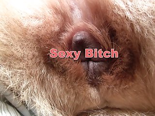 Petting Zoo Porn Bonnie Blue