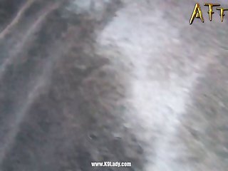 Zoo Porn Horse Dick