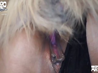 Animal Sex Porno Free