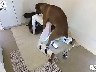 Anime Gay Animal Sex