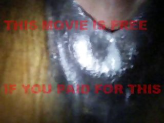 Animal Sex Porn Legality