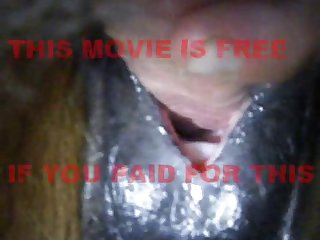 Animal Sex Porn Legality