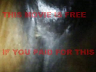 Animal Sex Porn Legality