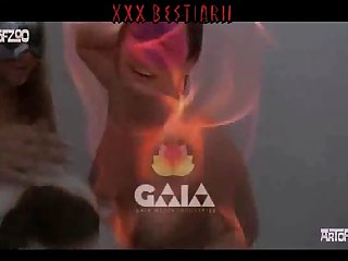 Animal Sex Video Men