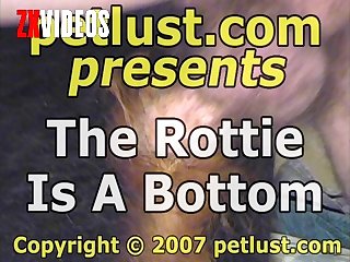 Pc137 The Rottie Is A Bottom