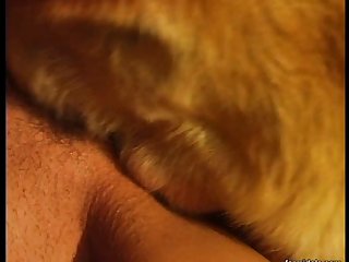 Irish Girl Dog Porn