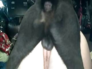 Fucking With Dog Porn