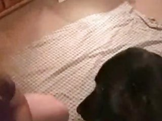 Raped By My Dog Porn