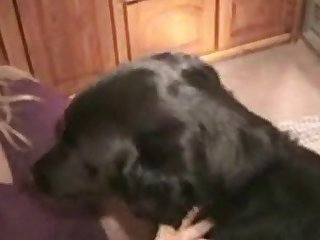 Raped By My Dog Porn