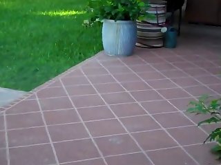 Skinny Dog Porn