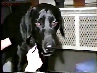 Jenna The Puppy Dog Porn