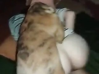 Zoo Porn Incest