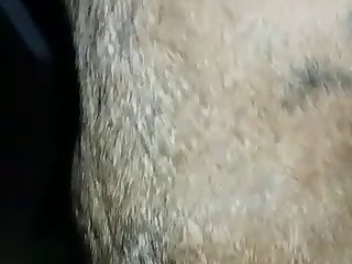 Zoo Porn Incest