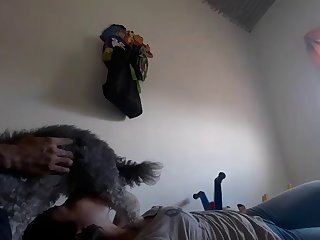 Danish Animal Sex