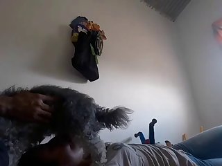 Danish Animal Sex