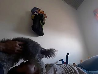 Danish Animal Sex
