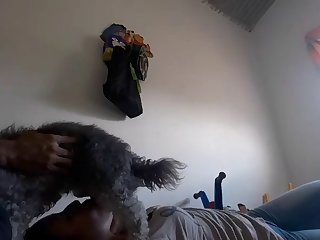 Danish Animal Sex