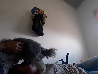 Danish Animal Sex
