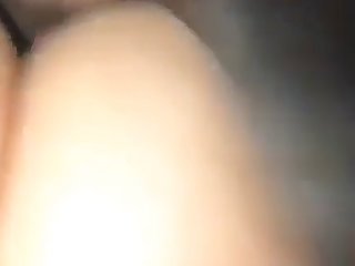 Animal Sex Videos Hd