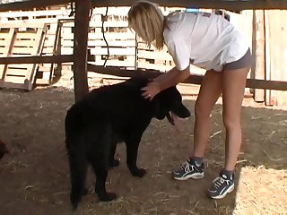 Funny Animal Sex Pictures