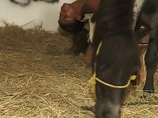 Hindi Animal Sex