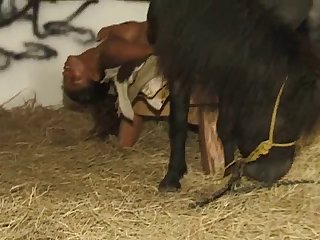 Hindi Animal Sex