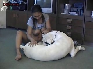 Animal Sex Scene Hindi