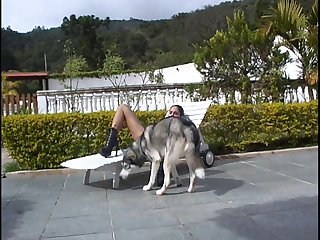 Video De Sexo Por Dentro