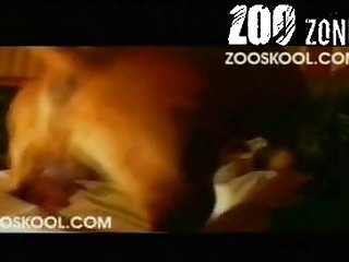Novinha Metendo Com Cachorro
