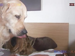 獣姦 動画