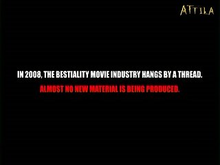 Filmes Porno Com Animais