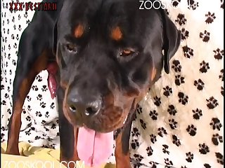 Xxx With Animals