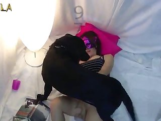 Sex S Koňom
