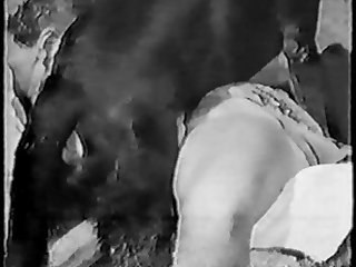 Sex Người Và Động Vật