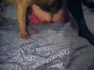 سكس حيونات