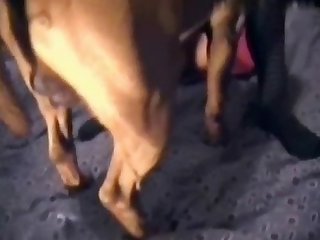 سكس حيونات