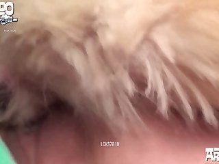 Секс Видео С Животными