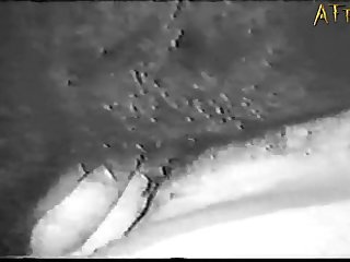 Guy Fucks Horse