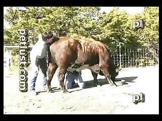 Porn Video Zoofilia Bestiality Petlust Вконтакте